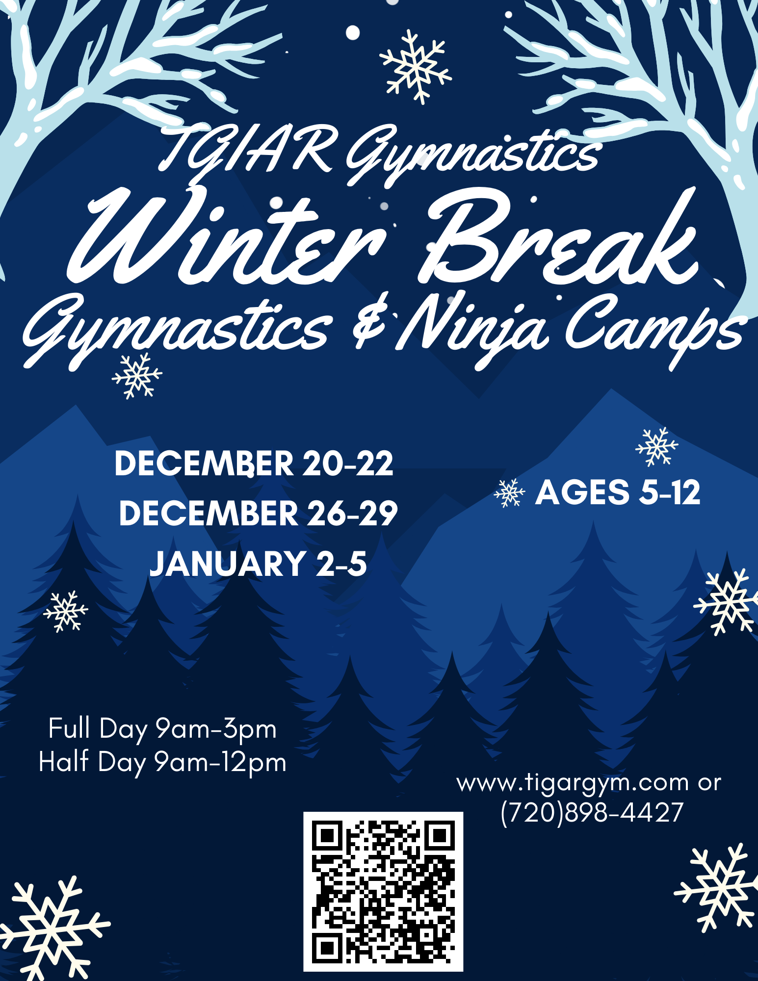 Tigar Winter Gymnastics Camp