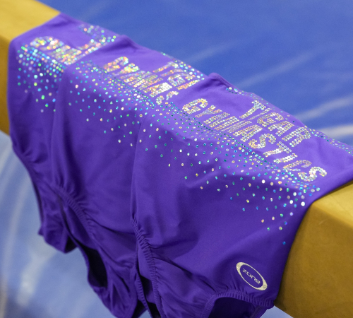 tigar gymnastics-web-2463