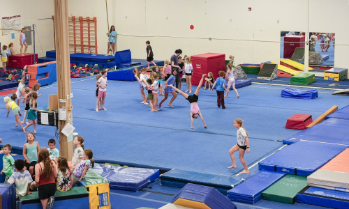 tigar gymnastics-web-3174 tigar gymnastics-web-3174