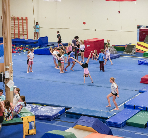tigar gymnastics-web-3174 tigar gymnastics-web-3174