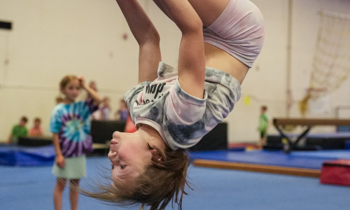 tigar gymnastics-web-3678 tigar gymnastics-web-3678
